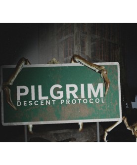 Pilgrim: Descent Protocol Steam Key GLOBAL